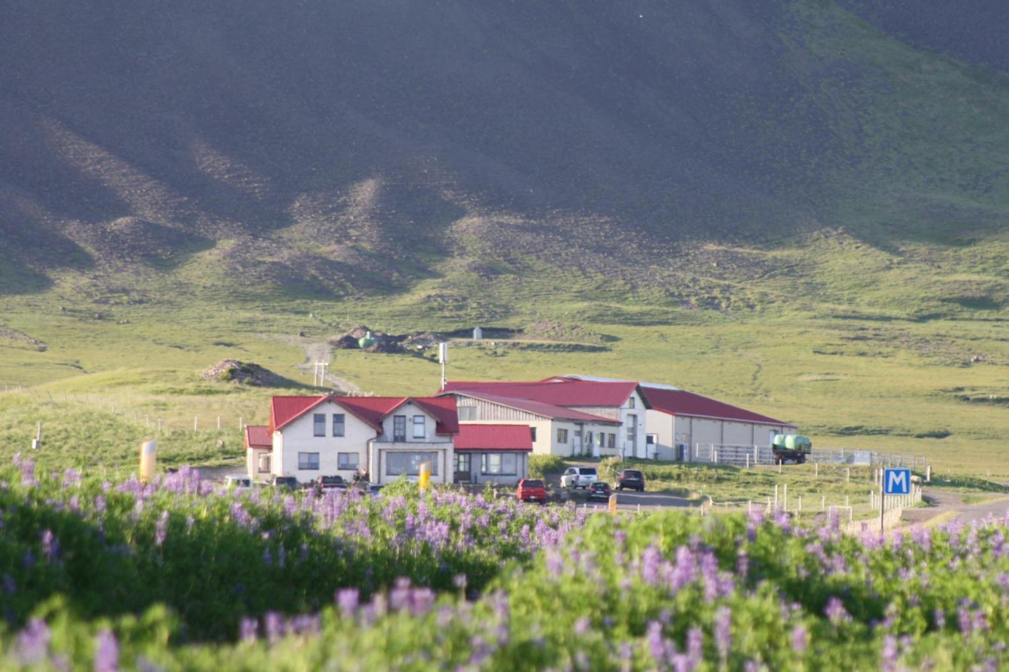 Lysuholl Hotel Snæfellsbær Buitenkant foto